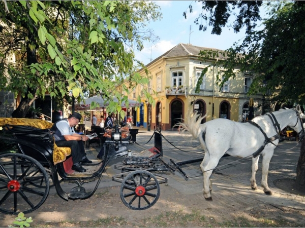 TVRĐAVA BAČ, MANASTIR BOĐANI, GRAD SOMBOR