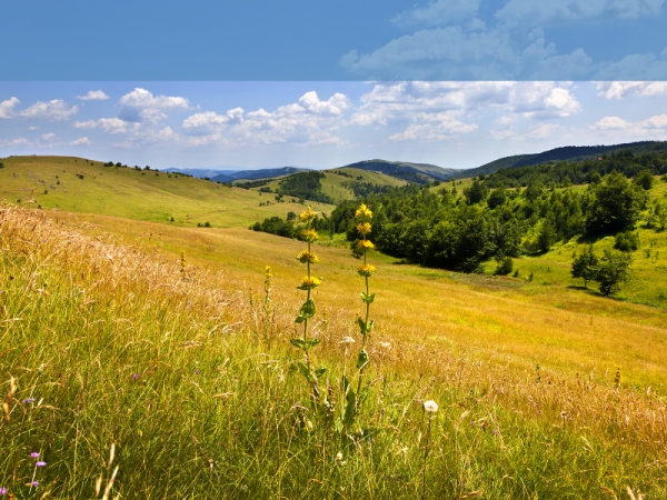 DIVČIBARE - MALJEN, KUMOVA VODENICA